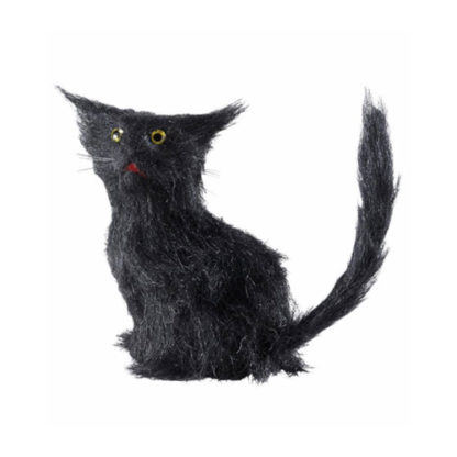 Gatto nero peloso