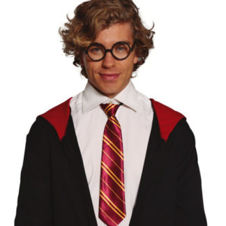 Cravatta stile Harry Potter