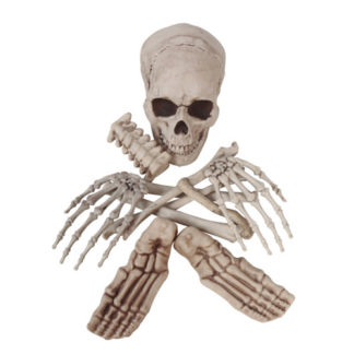 Ossa scheletro set 12 pezzi