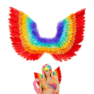 Arcobaleno Ali con piume cm. 50